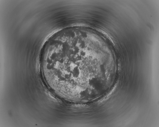 X0000112111117200908251205