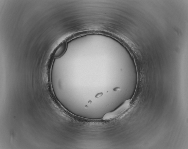 X0000112111118200908251205