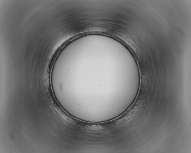 X0000112111119200908251205