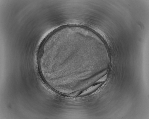 X0000112111120200908251205