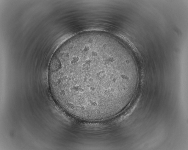 X0000112111121200908251205