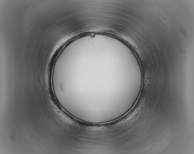 X0000112111122200908251205