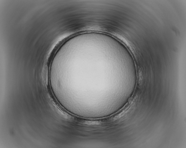 X0000112111123200908251205