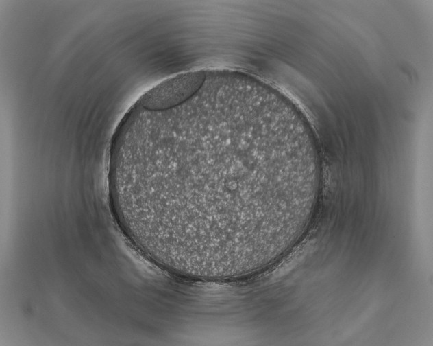 X0000112111124200908251205