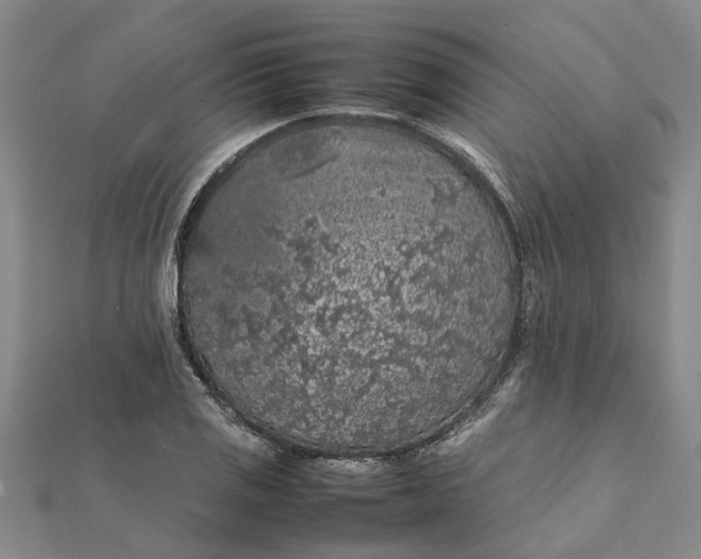 X0000112111125200908251205