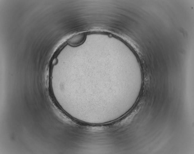 X0000112111126200908251205