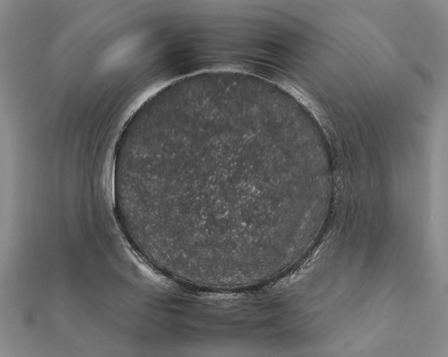 X0000112111127200908251205