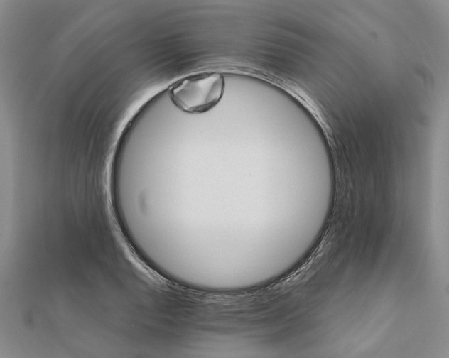 X0000112111128200908251205