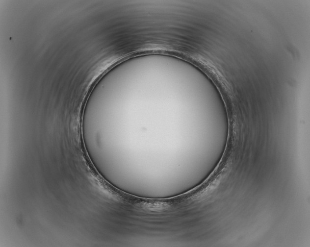 X0000112111129200908251205