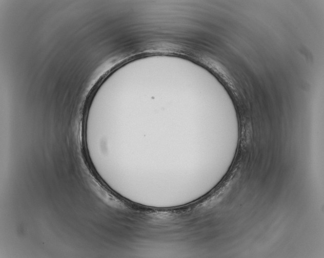 X0000112111130200908251205