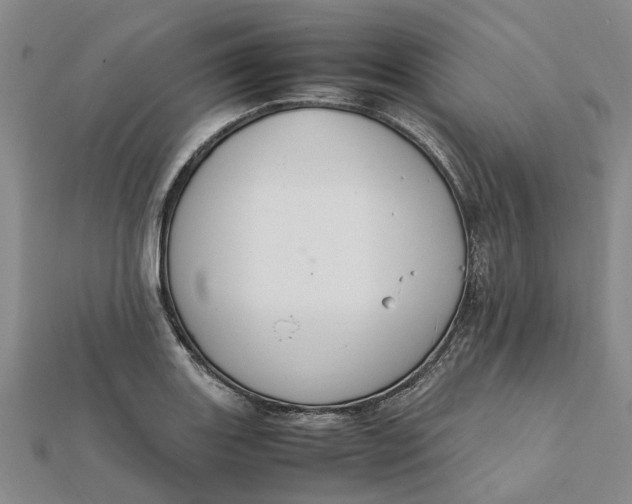 X0000112111131200908251205