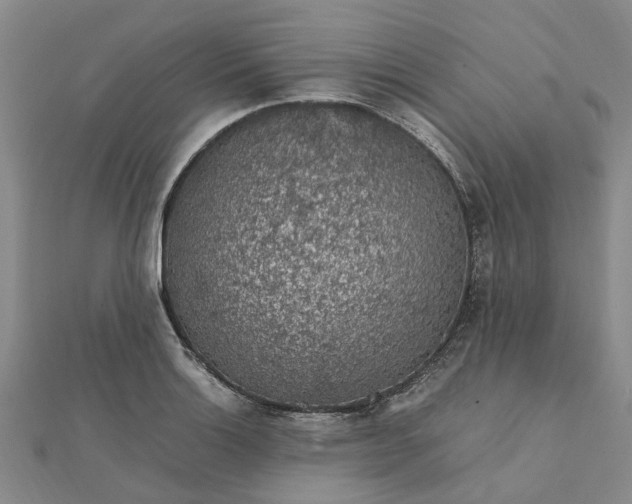 X0000112111132200908251205