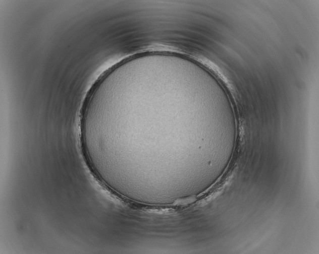 X0000112111133200908251205