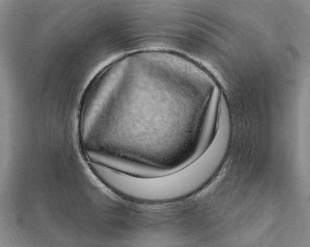 X0000112111134200908251205