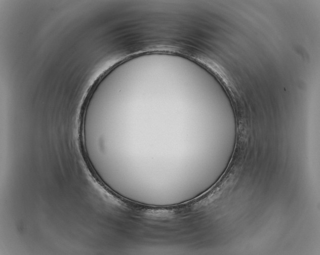 X0000112111135200908251205