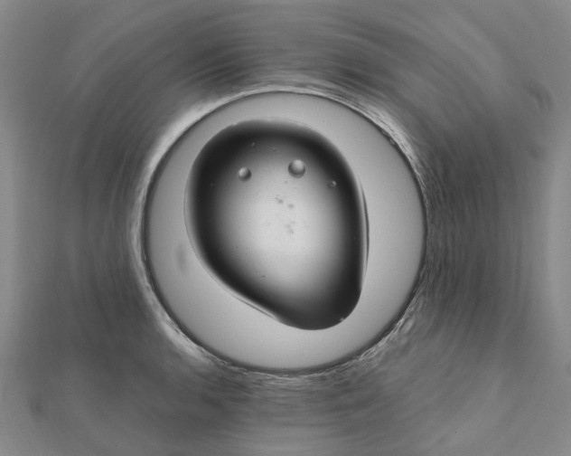 X0000112111136200908251205