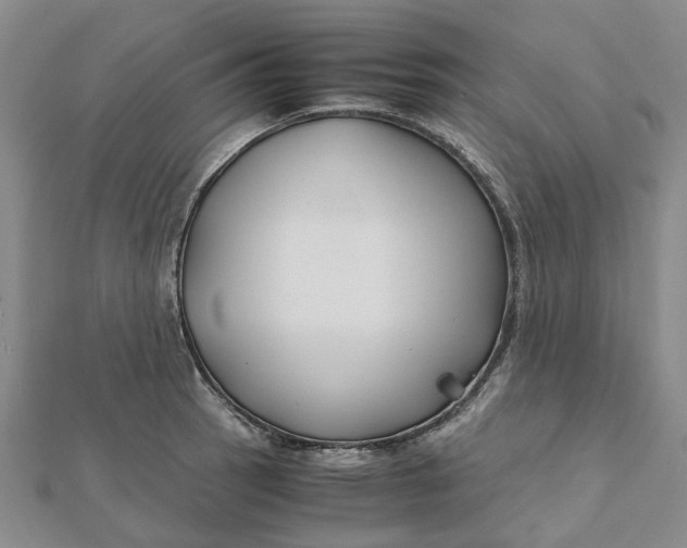 X0000112111137200908251205