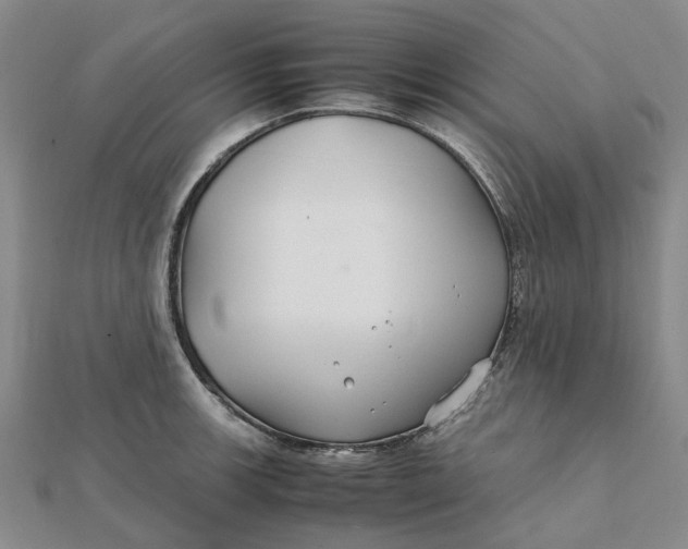 X0000112111139200908251206