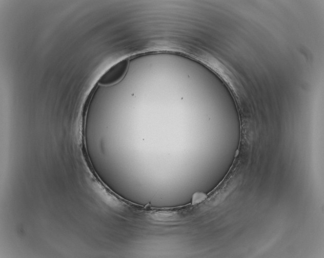 X0000112111140200908251206