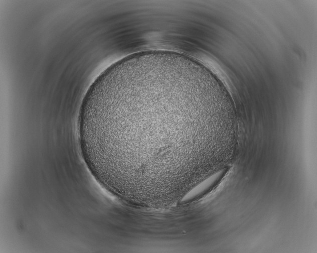 X0000112111141200908251206