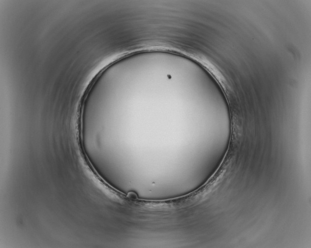 X0000112111142200908251206