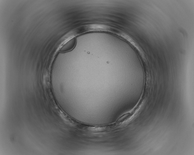 X0000112111145200908251206