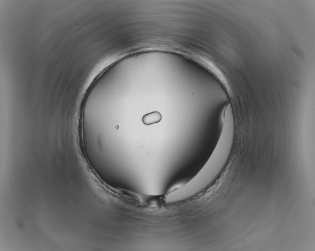 X0000112111146200908251206