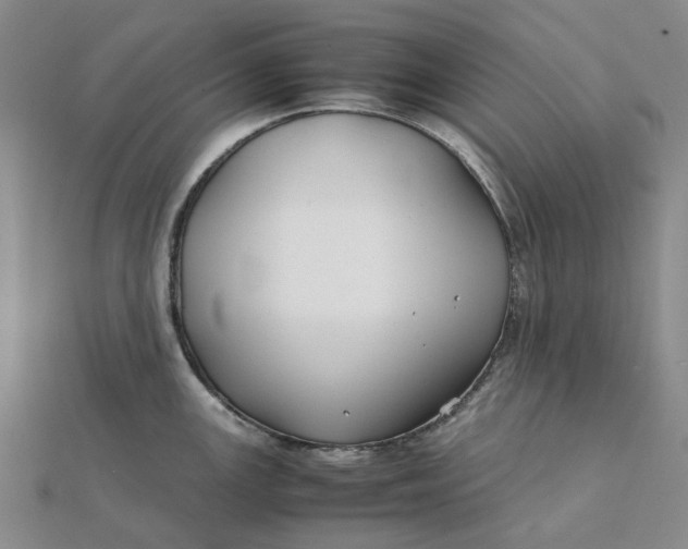 X0000112111147200908251206