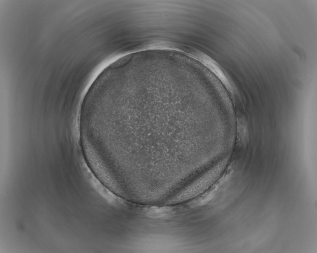 X0000112111148200908251206