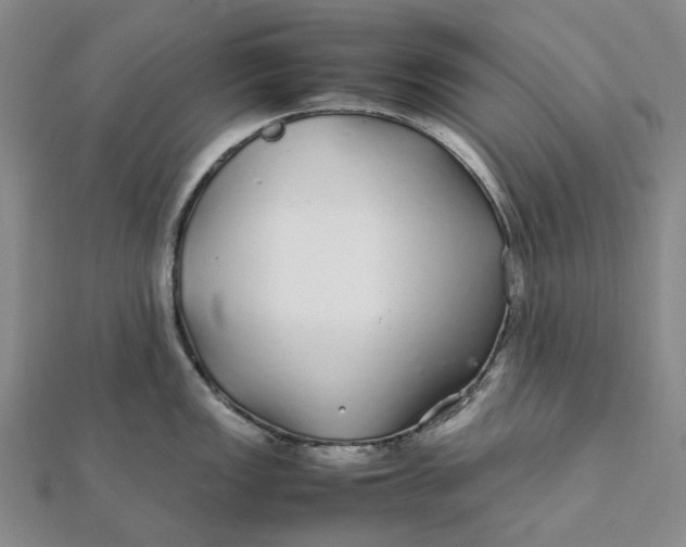 X0000112111149200908251206