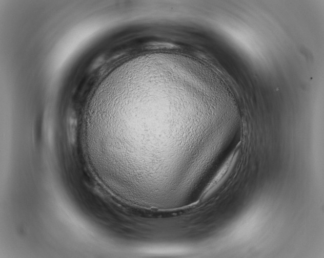 X0000112111151200908251206