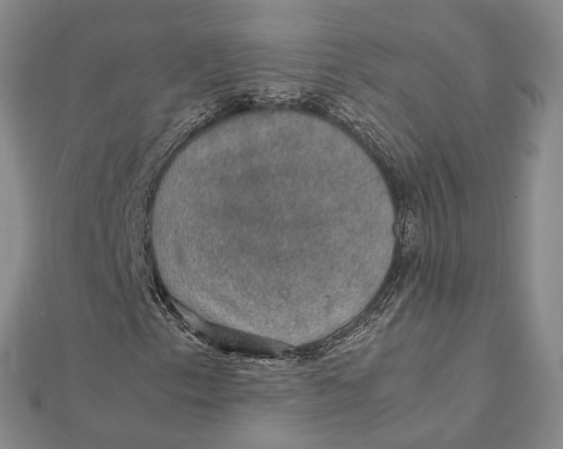 X0000112111153200908251205