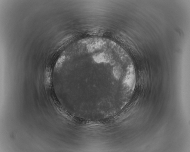 X0000112111154200908251205