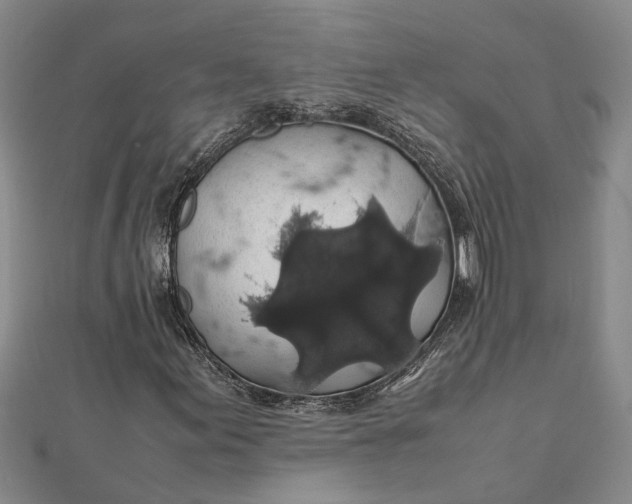 X0000112111155200908251205