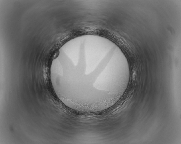 X0000112111156200908251205