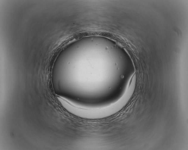 X0000112111157200908251205