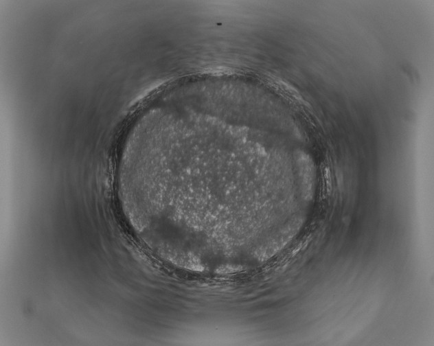 X0000112111158200908251205