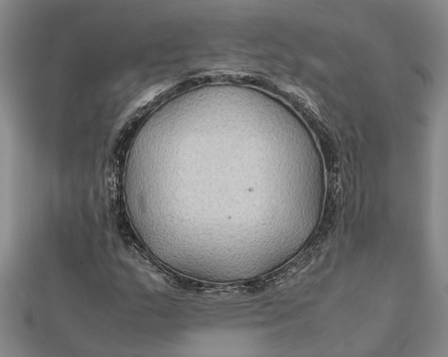 X0000112111159200908251205