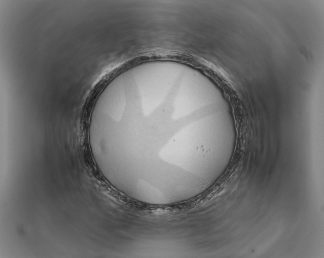 X0000112111160200908251205