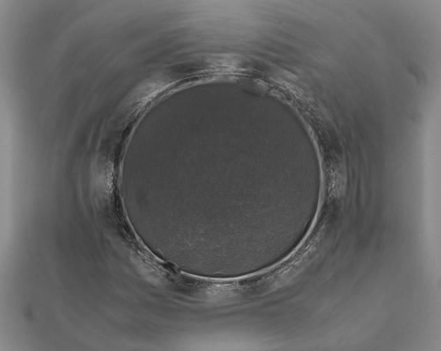 X0000112111161200908251205