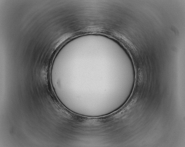 X0000112111162200908251205