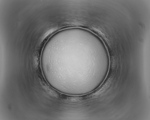 X0000112111163200908251205