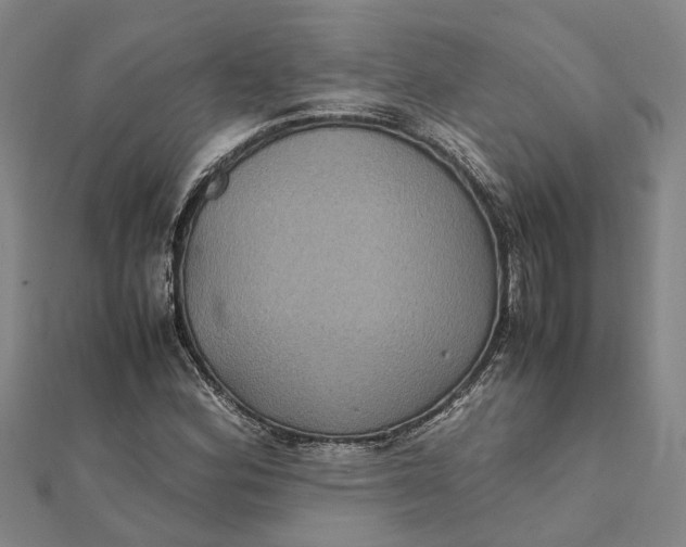 X0000112111164200908251205