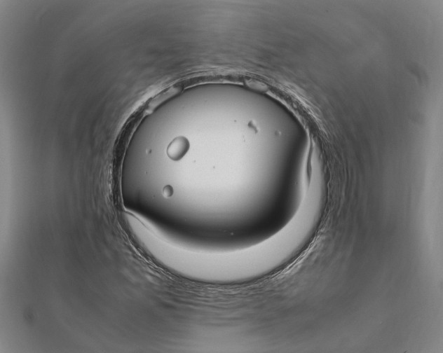 X0000112111165200908251205