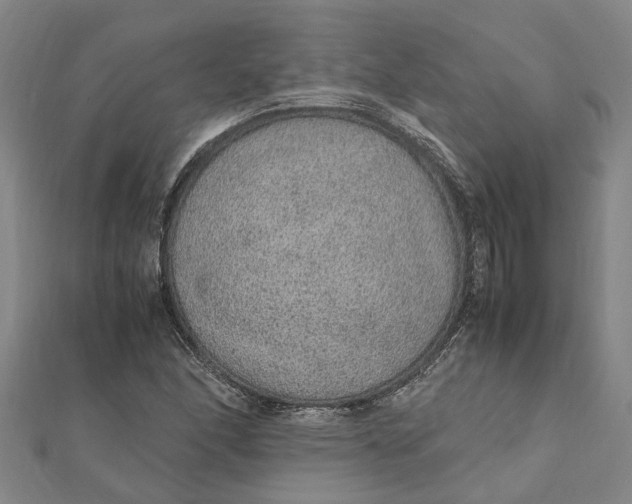 X0000112111166200908251205