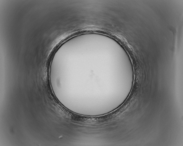 X0000112111167200908251205