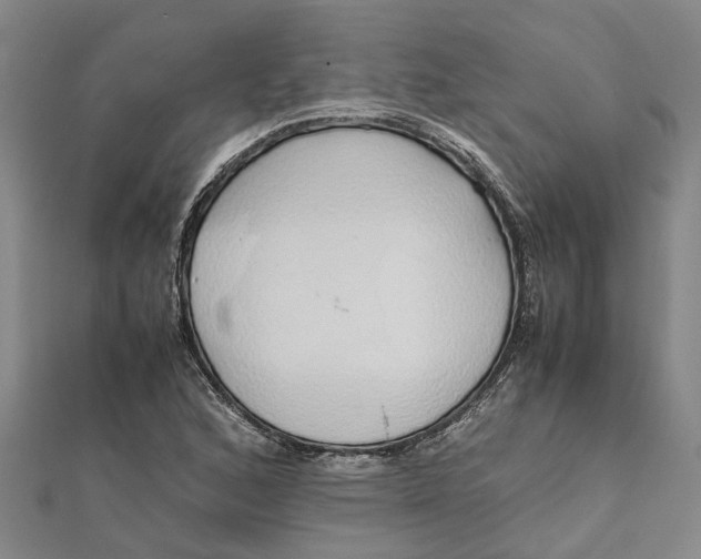 X0000112111168200908251205