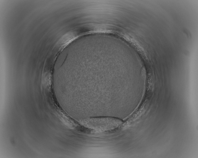 X0000112111169200908251205