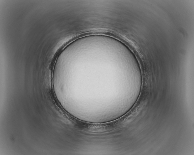 X0000112111171200908251205