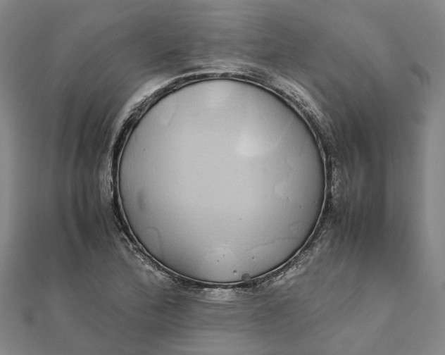 X0000112111172200908251205